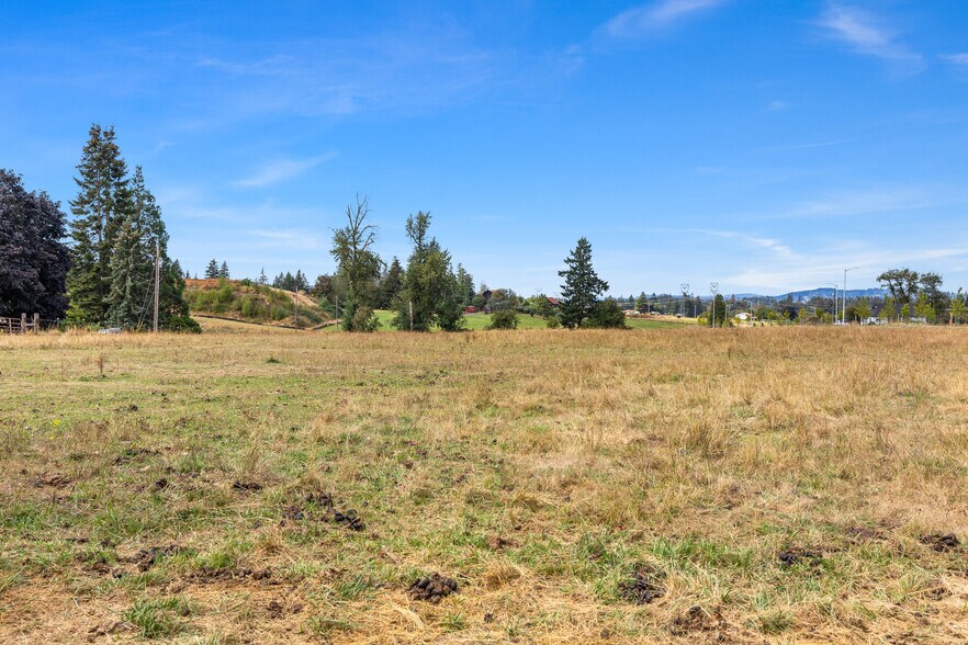 More Photos Of 16370 Bell St, Sandy Land For Sale