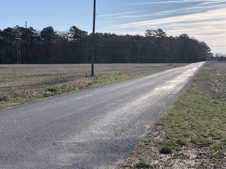 More Photos Of Route 113 & McCabe Rd, Selbyville Land For Sale