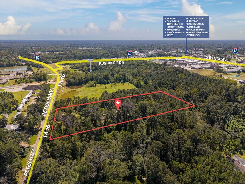 Primary Photo Of 27351 La Highway 16, Denham Springs Land For Sale