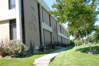 More Photos Of 150 N Wiget Ln, Walnut Creek Office For Sale