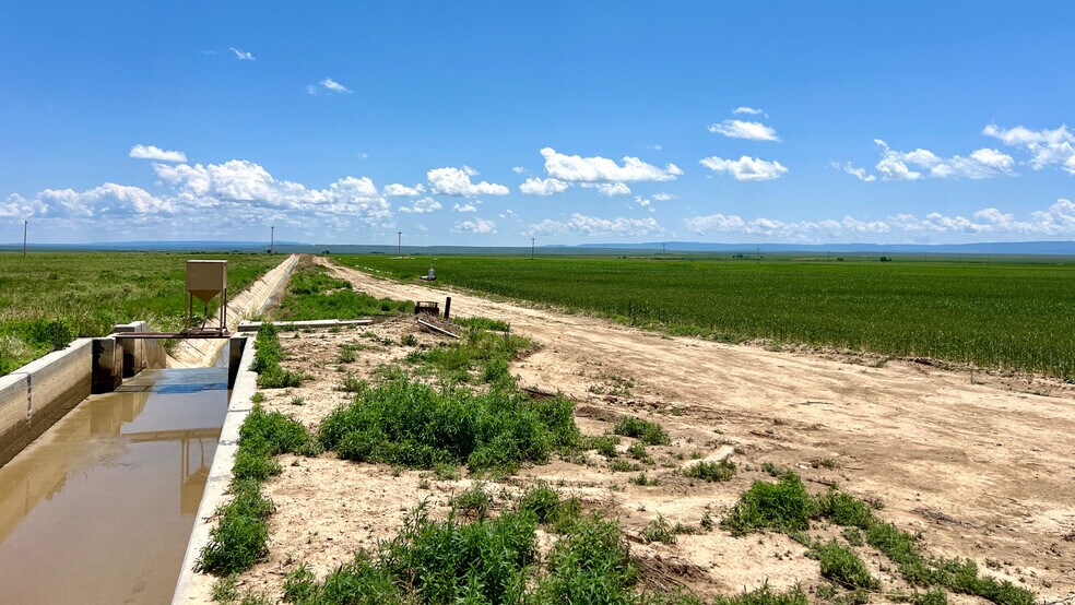 More Photos Of 48999 County Road 48, Model Land For Sale