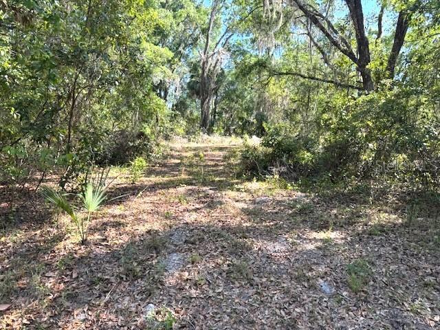 More Photos Of 4140 Kenvera loop, Inverness Land For Sale