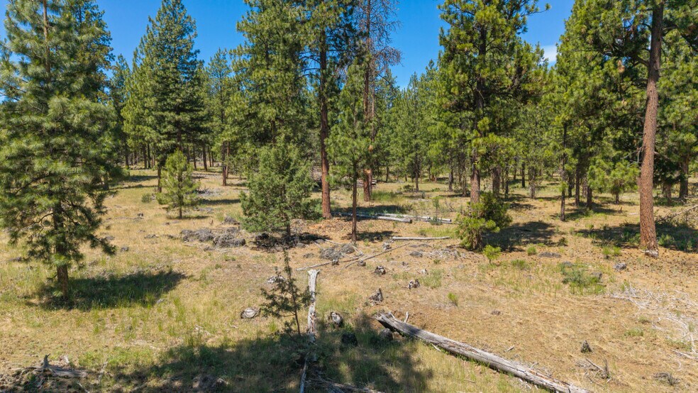 More Photos Of 0 Blue Wing Street, Keno Land For Sale