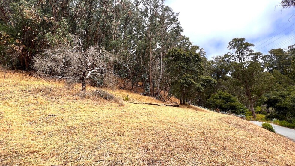More Photos Of 00 Lupine Lane, Santa Cruz Land For Sale