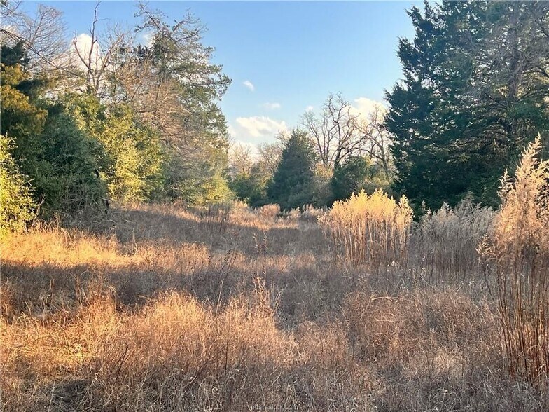 More Photos Of Fm-1469, Marquez Land For Sale