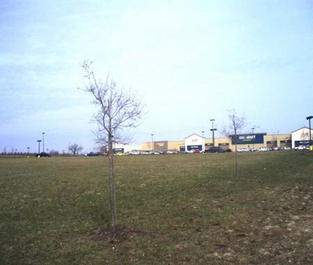 More Photos Of 10771 W Carson City Rd, Greenville Land For Sale