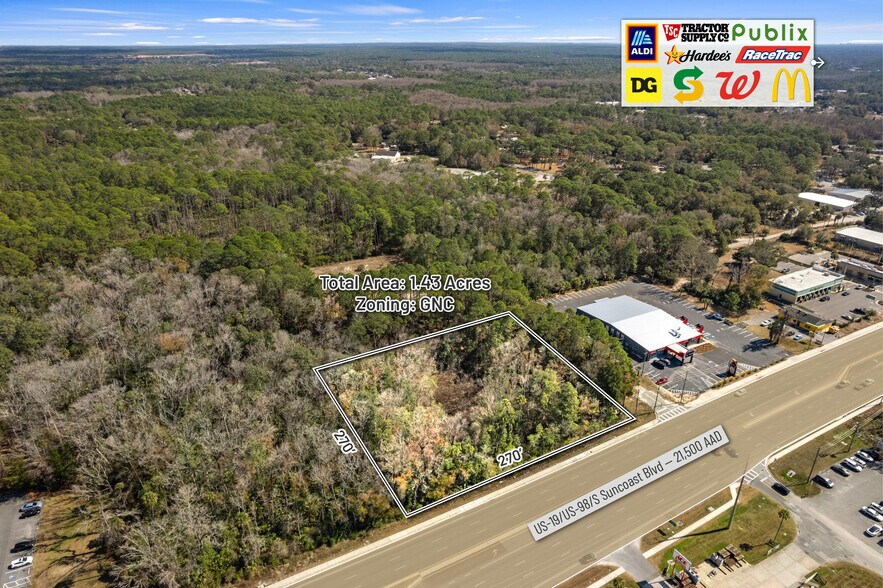 More Photos Of 8541 Faust ln, Homosassa Land For Sale