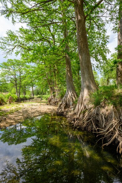More Photos Of 114 Bledsoe Ranch Road, Center Point Land For Sale
