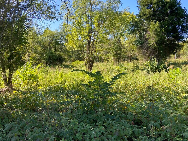 More Photos Of S Adams Street, Walnut Grove Land For Sale