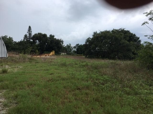 More Photos Of 0 Pine Rd, Auburndale Land For Sale