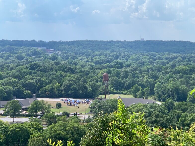More Photos Of U.S Highway 119, Alabaster Land For Sale