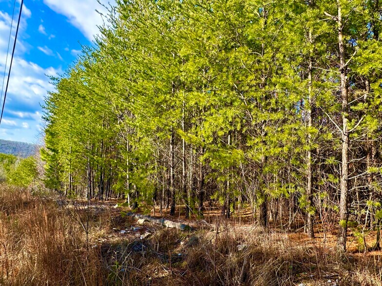 More Photos Of 0 Cherokee Hills Drive, Rydal Land For Sale