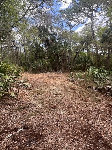 More Photos Of 0 Camellia, Crystal River Land For Sale