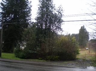 Primary Photo Of 5230 Bethel Rd, Port Orchard Land For Sale