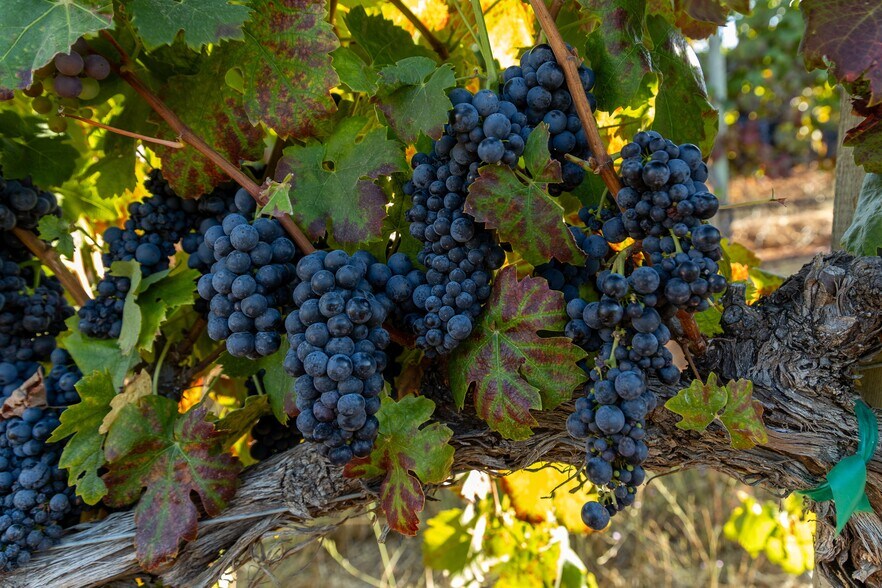 More Photos Of 13700 Rockpile Rd, Geyserville Land For Sale