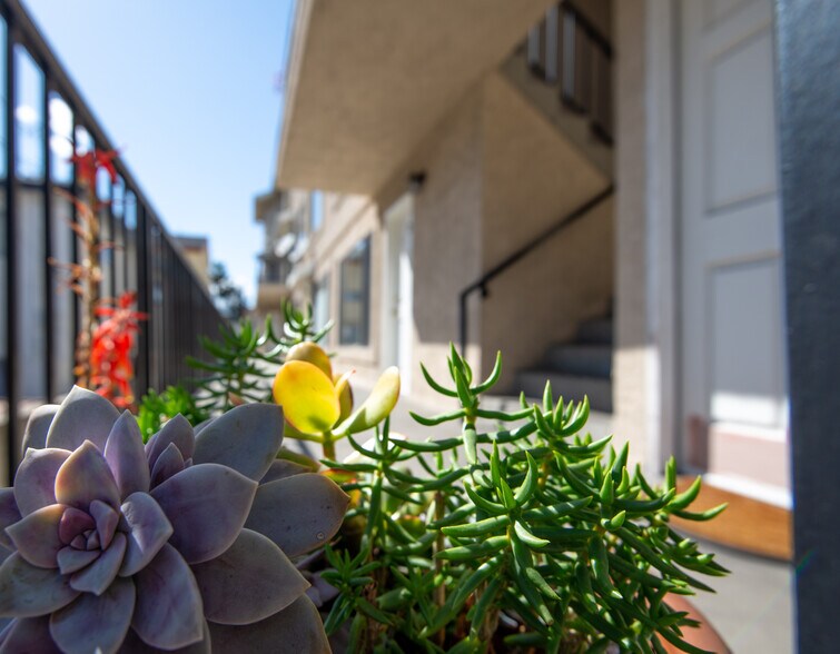 More Photos Of 5319 Cartwright Ave, North Hollywood Apartments For Sale