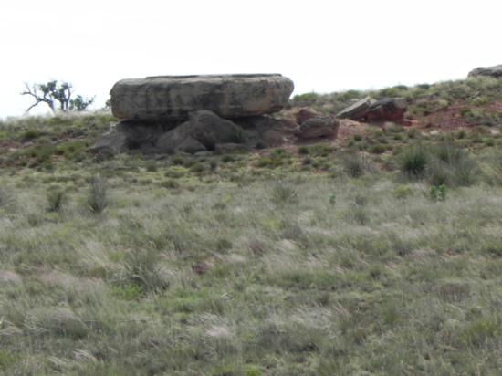 More Photos Of S1-S4 13-1-18, Hardesty Land For Sale