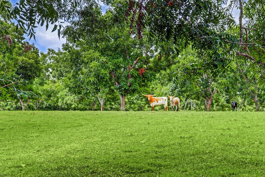 More Photos Of 4309 Bowser Rd, Fulshear Land For Sale