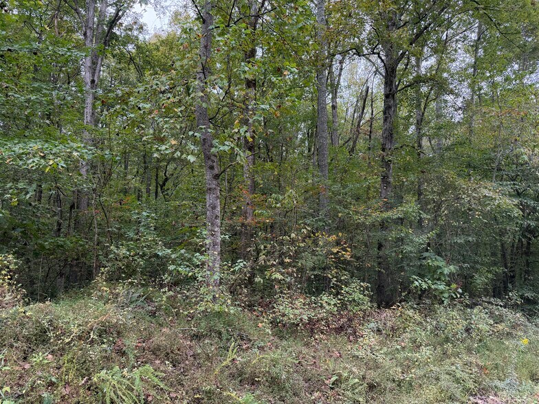 More Photos Of 0 County Road 60, Heflin Land For Sale