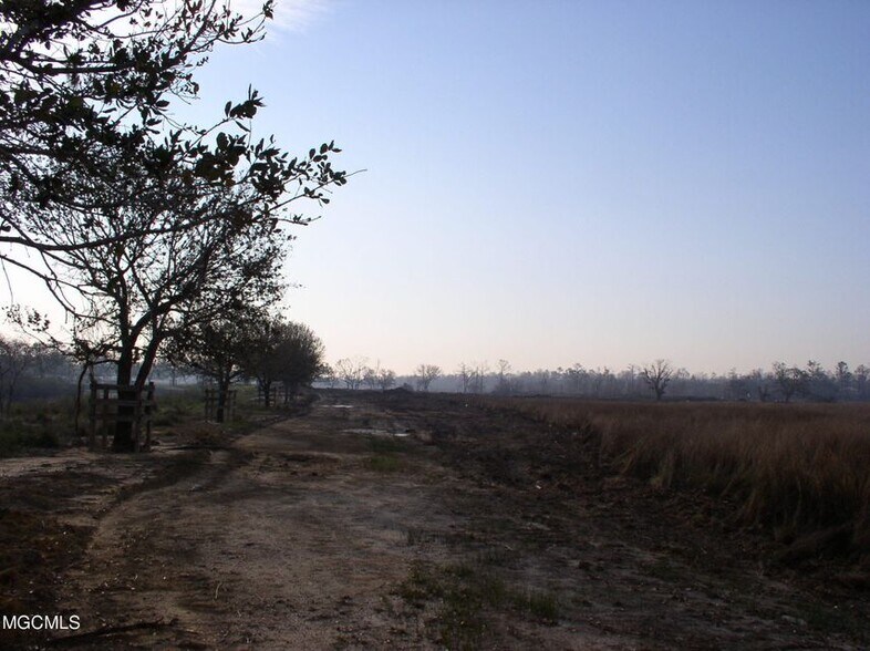 More Photos Of 11191 Cazaubon Farm Rd, Bay Saint Louis Land For Sale