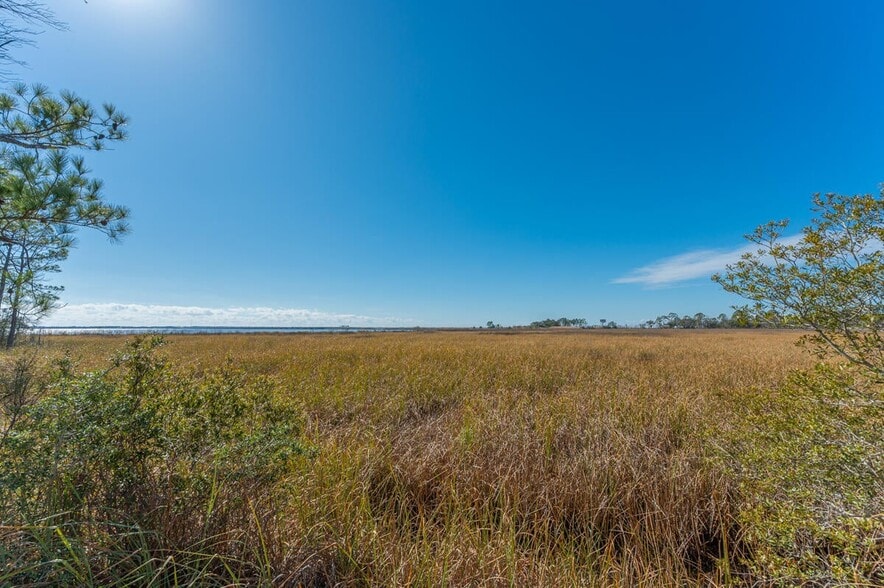 More Photos Of Hwy 331 S & Jolly Bay Road, Freeport Land For Sale