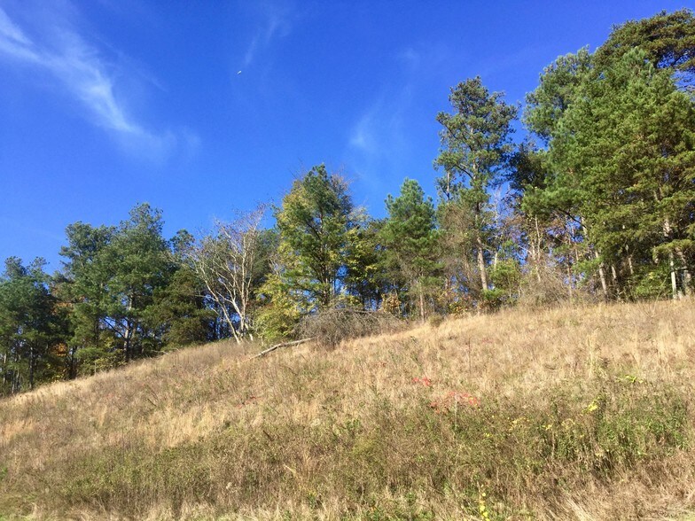 More Photos Of 400 Whitfield Dr, Dallas Land For Sale