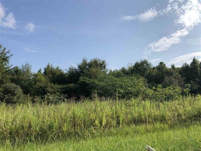 More Photos Of 614 N Main St, Atmore Land For Sale