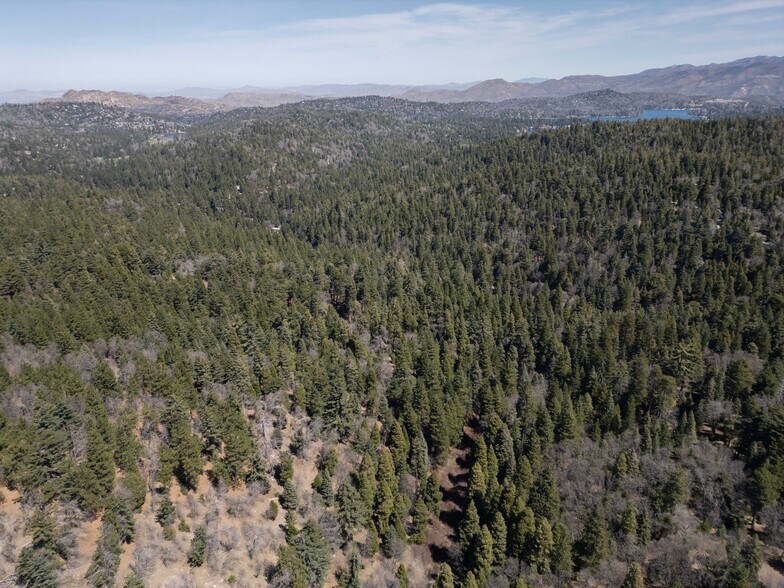 More Photos Of 26689 California 18, Rimforest Land For Sale