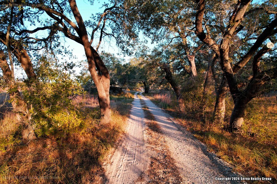 More Photos Of 10382 W FM 476, Poteet Land For Sale