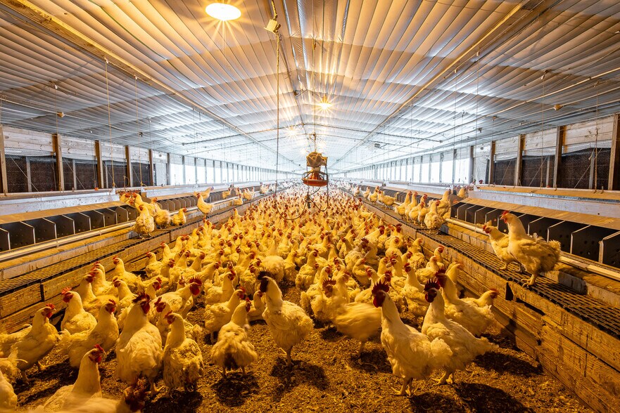 More Photos Of 1291 Myron Hart Rd, Coolidge Land For Sale