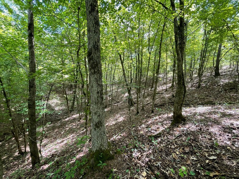 More Photos Of 23034 Highway 25, Columbiana Land For Sale