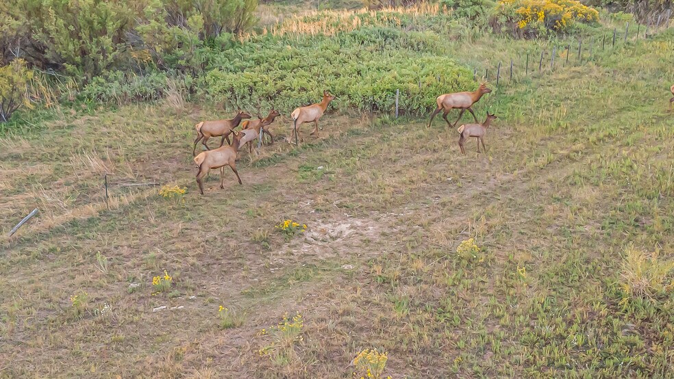 More Photos Of 41009 County Road 5, Meeker Industrial For Sale