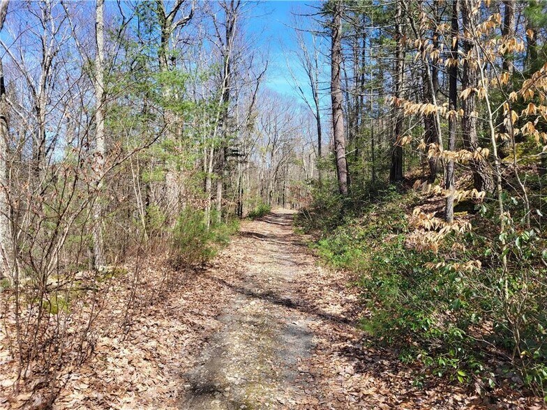 More Photos Of 8 Henry Rd, Cragsmoor Land For Sale