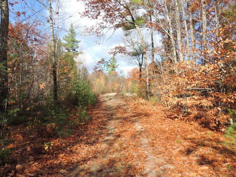 More Photos Of 140 Chickville Rd, Ossipee Land For Sale