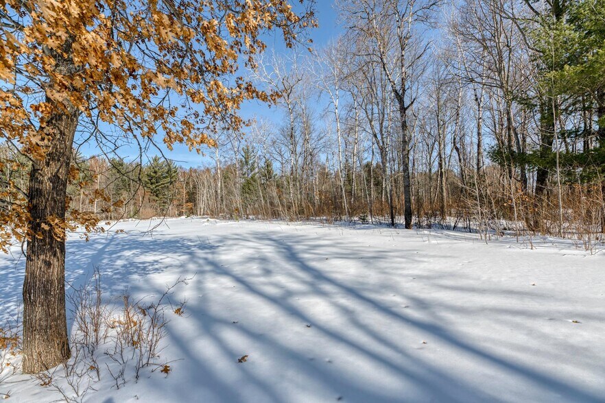 More Photos Of Brown Rd., Three Lakes Land For Sale