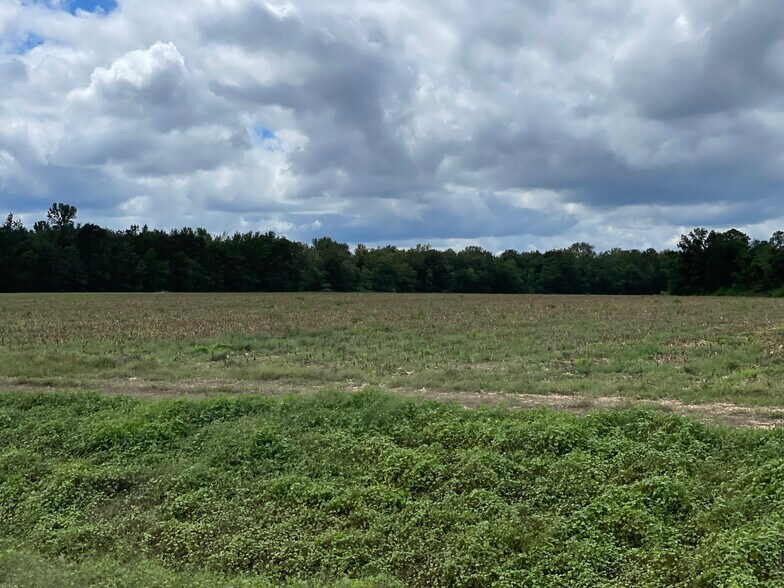 More Photos Of 5700 Pine Forest Rd, Walnut Hill Land For Sale