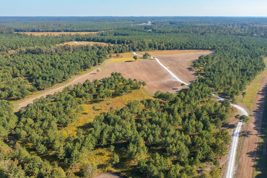 More Photos Of 18618 Hwy 43, Linden Land For Sale