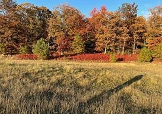 Primary Photo Of Claremont Ave, Tamaqua Land For Sale