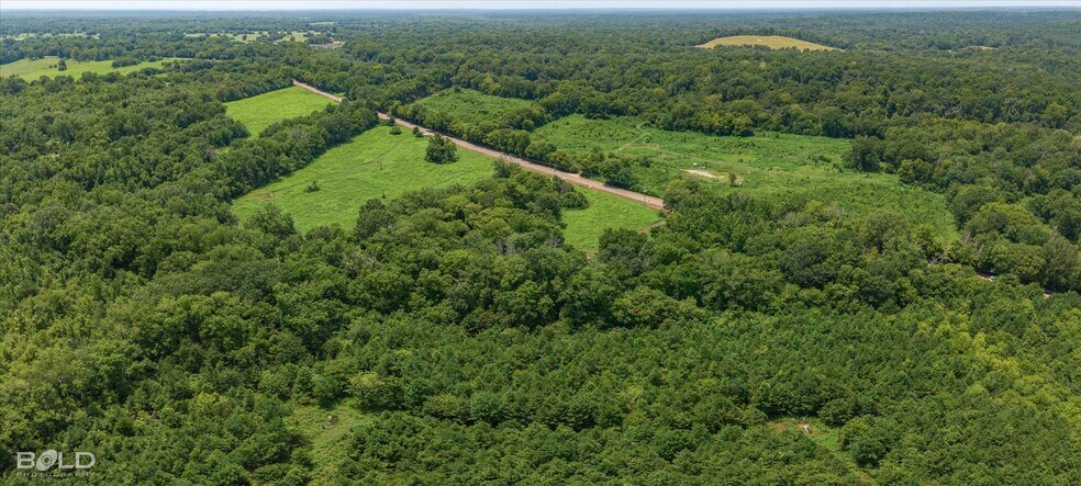 More Photos Of 11661 Gamm rd, Belcher Land For Sale