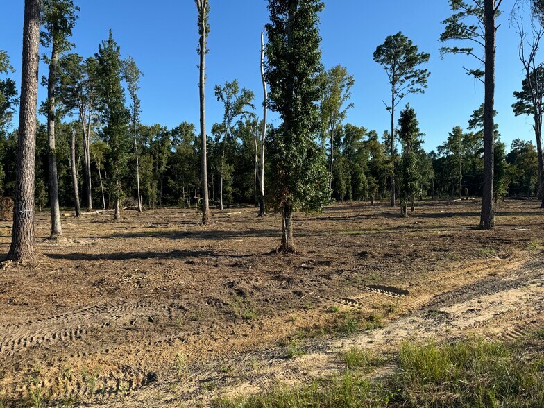 More Photos Of 16393 Highway 31, Tyler Land For Sale