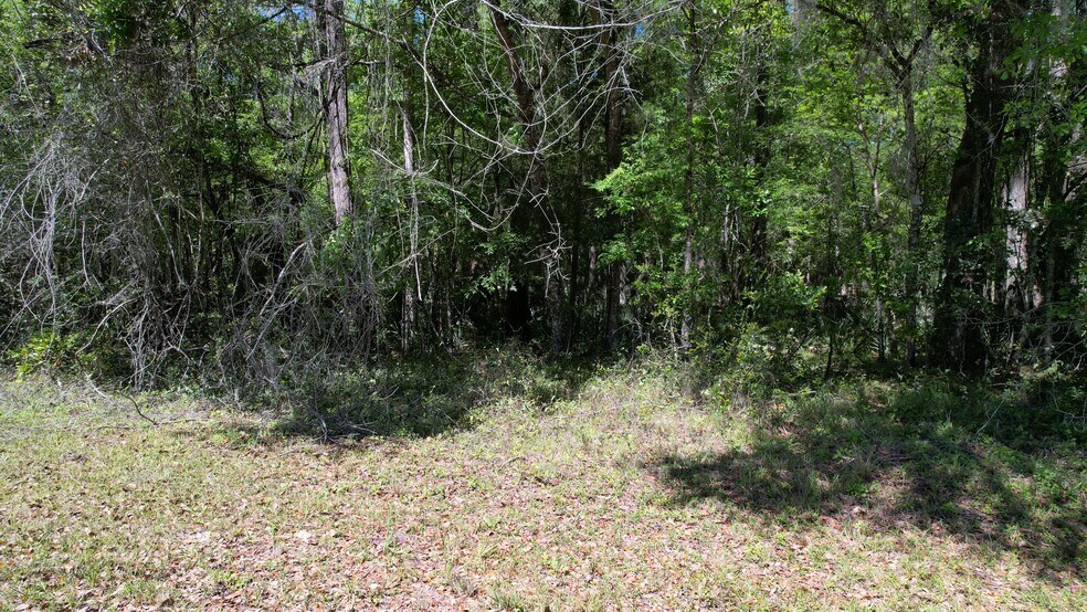 More Photos Of Ponce De Leon @ Cobb Rd, Brooksville Land For Sale