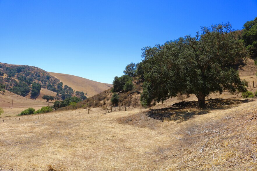 More Photos Of 32800 Johnson Canyon Rd, Gonzales Land For Sale