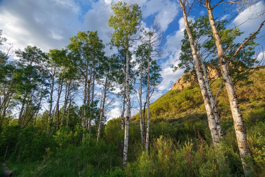 More Photos Of 22090 Co 212 rd, Oak Creek Land For Sale