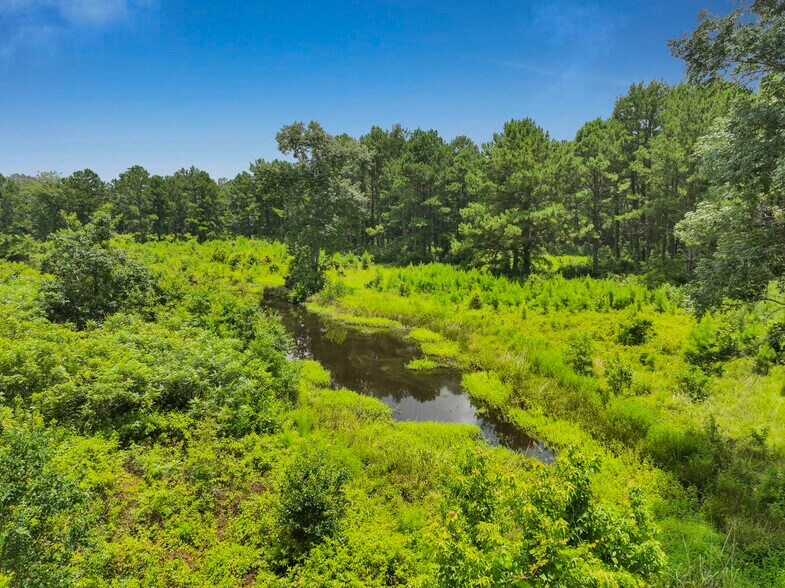 More Photos Of 386 County Road 784, Buna Land For Sale