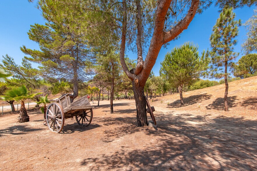 More Photos Of 8450 Waters Rd, Moorpark Land For Sale