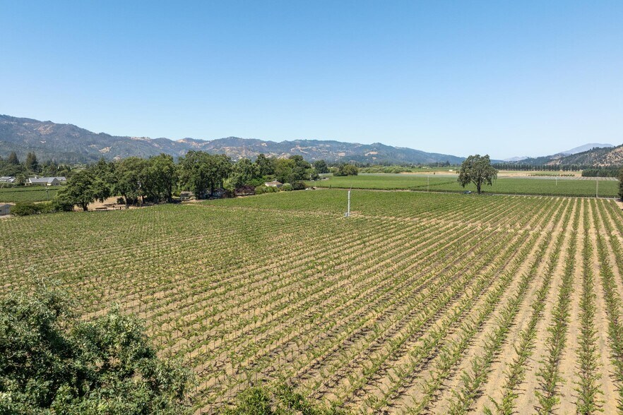 More Photos Of 79 Zinfandel Ln, Saint Helena Land For Sale