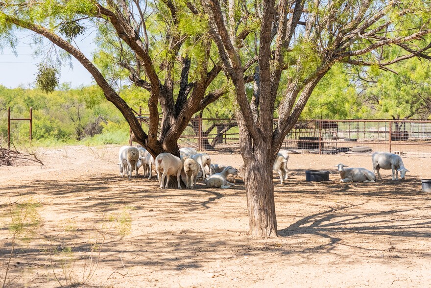 More Photos Of Rocking DC4 Ranch, Del Rio Land For Sale