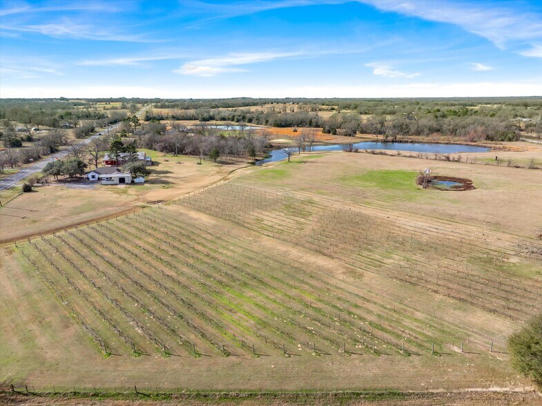 More Photos Of 5518 State Highway 198, Canton Winery Vineyard For Sale
