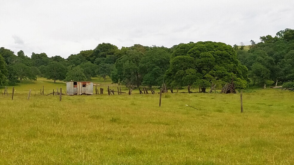 More Photos Of 11 Neal Rd., Paradise Land For Sale