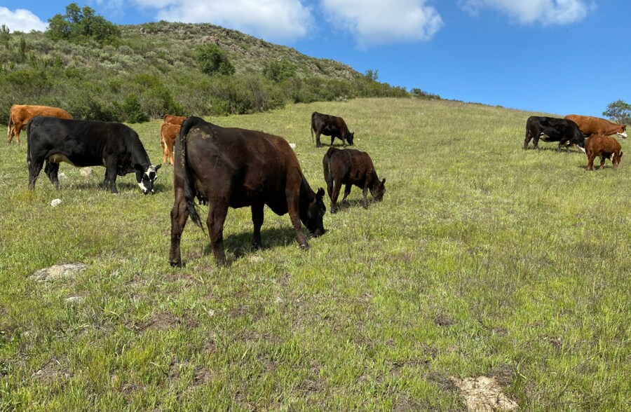 More Photos Of 13633 FM 1895, Kemp Land For Lease